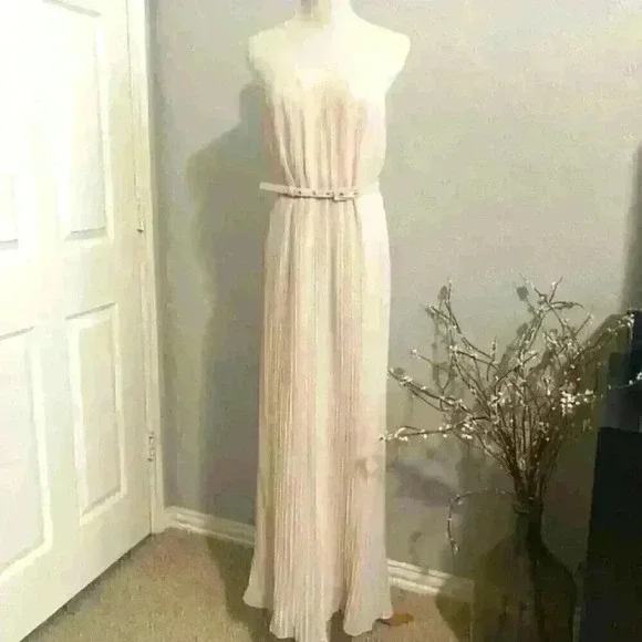 French Connection Shelby Summer Maxi Dress in Light Pink Pleated NWT sx 2 - Picture 5 of 9